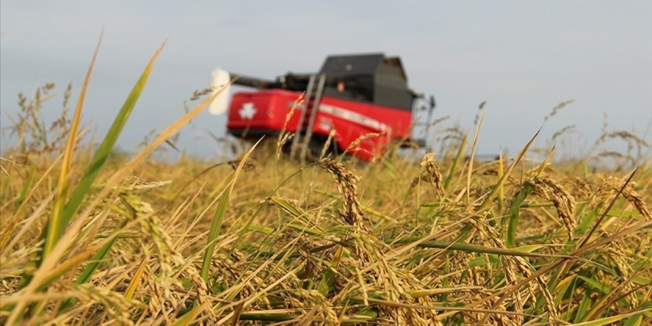 1 ayda 4,2 milyar lira hasar tazminatı ödendi