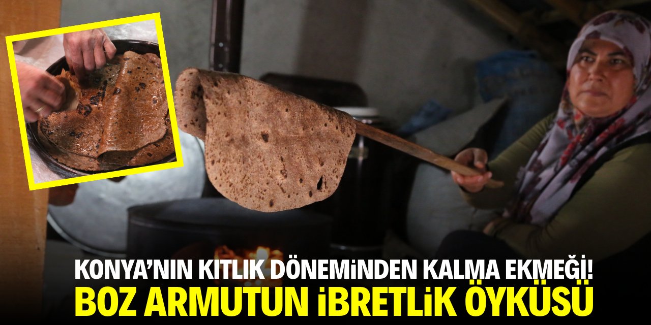 Konya'nın kıtlık döneminden kalma ekmeği! Boz armutun ibretlik hikayesi