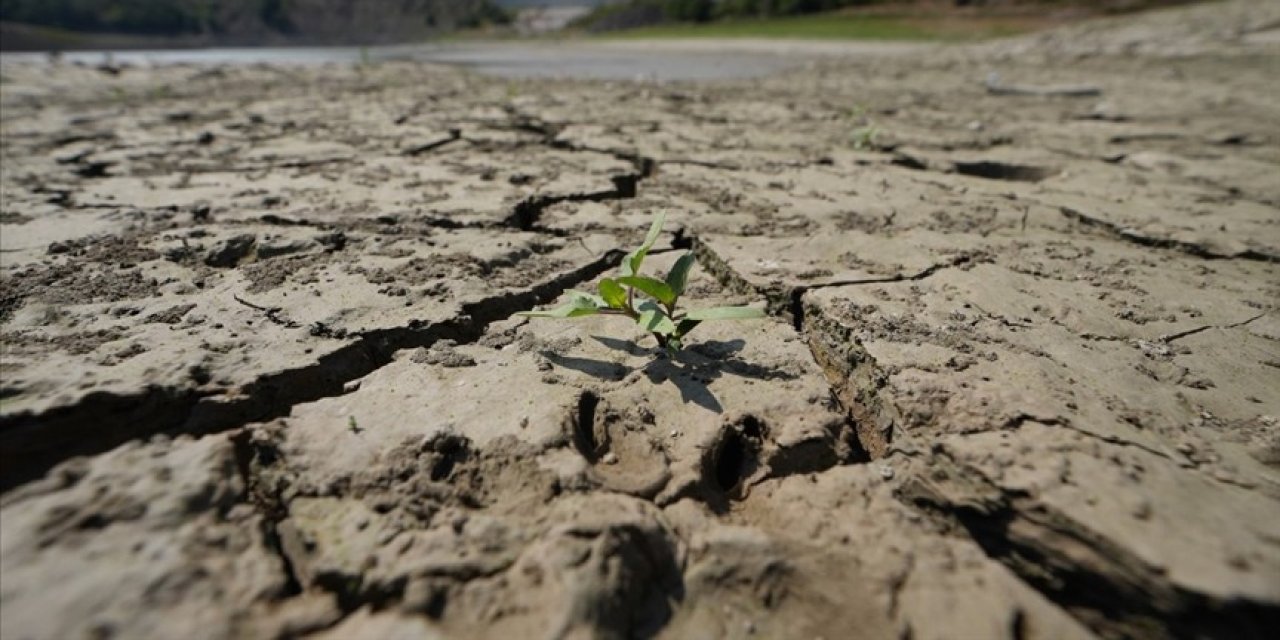 Toprak ile su kaybı geleceği tehdit ediyor