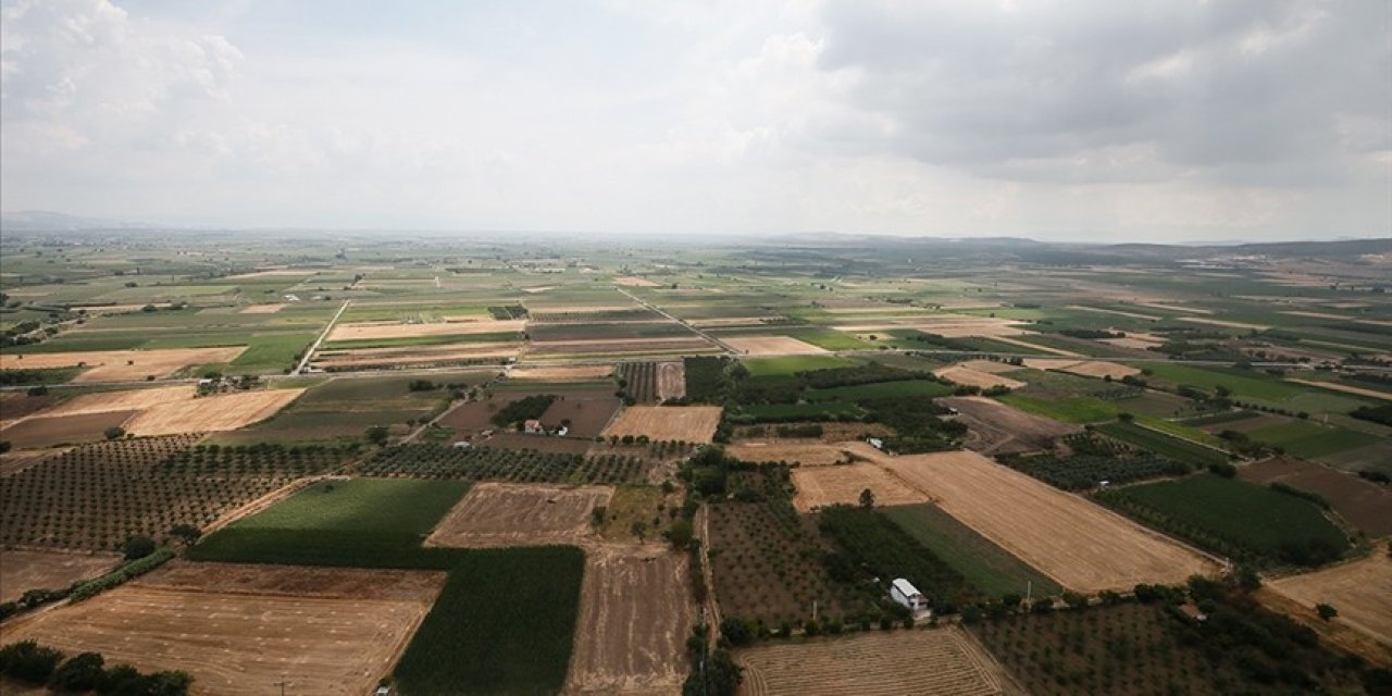 Türkiye'de erozyonla toprak kaybediliyor