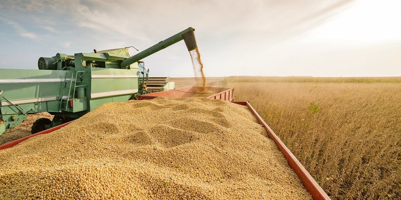 Çiftçilere tarımsal destekleme ödemesi bugün yapılacak