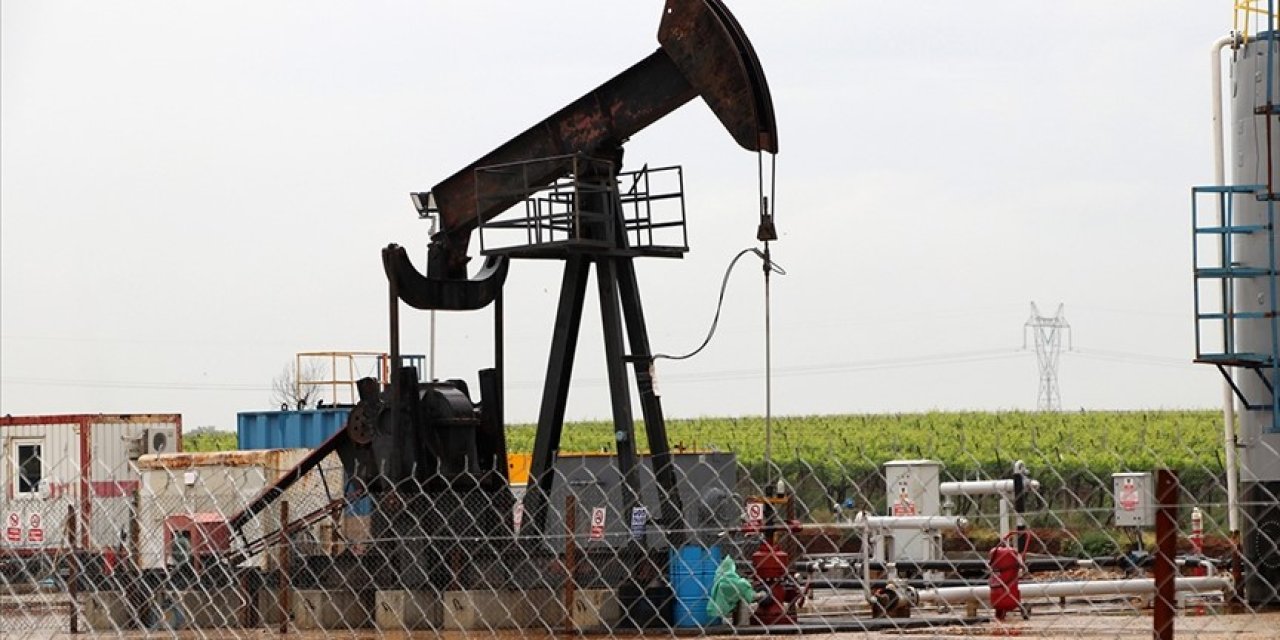 İki şehirde petrol aranacak