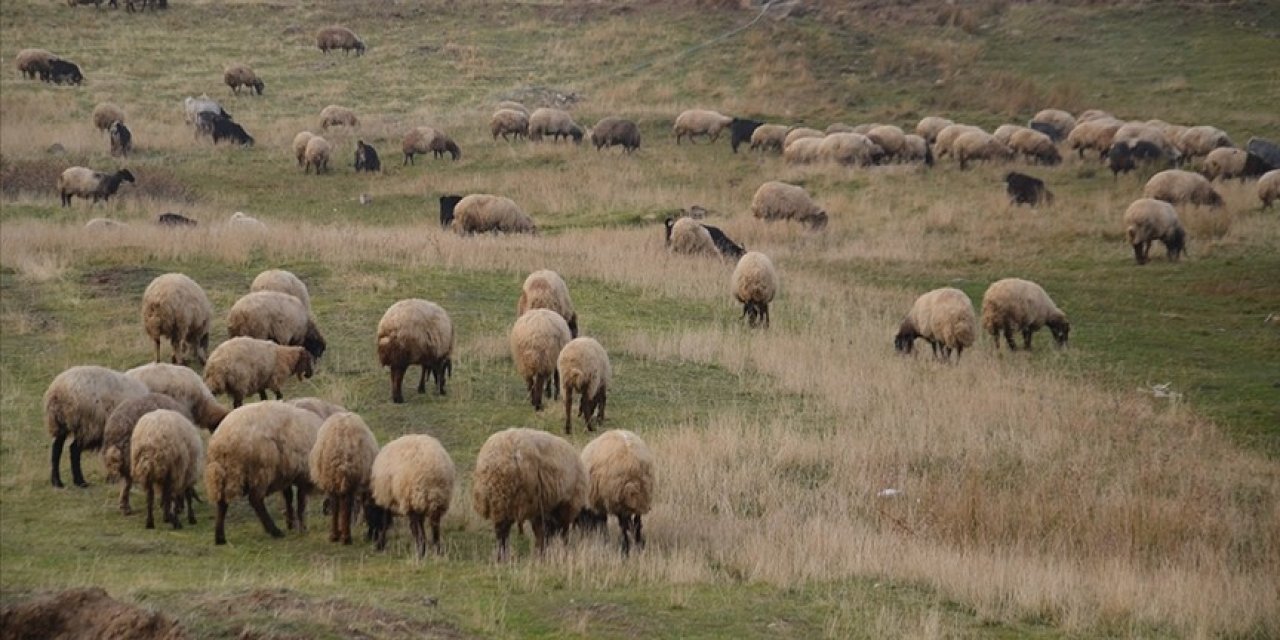 'Halk Elinde Islah Projeleri'ne destek