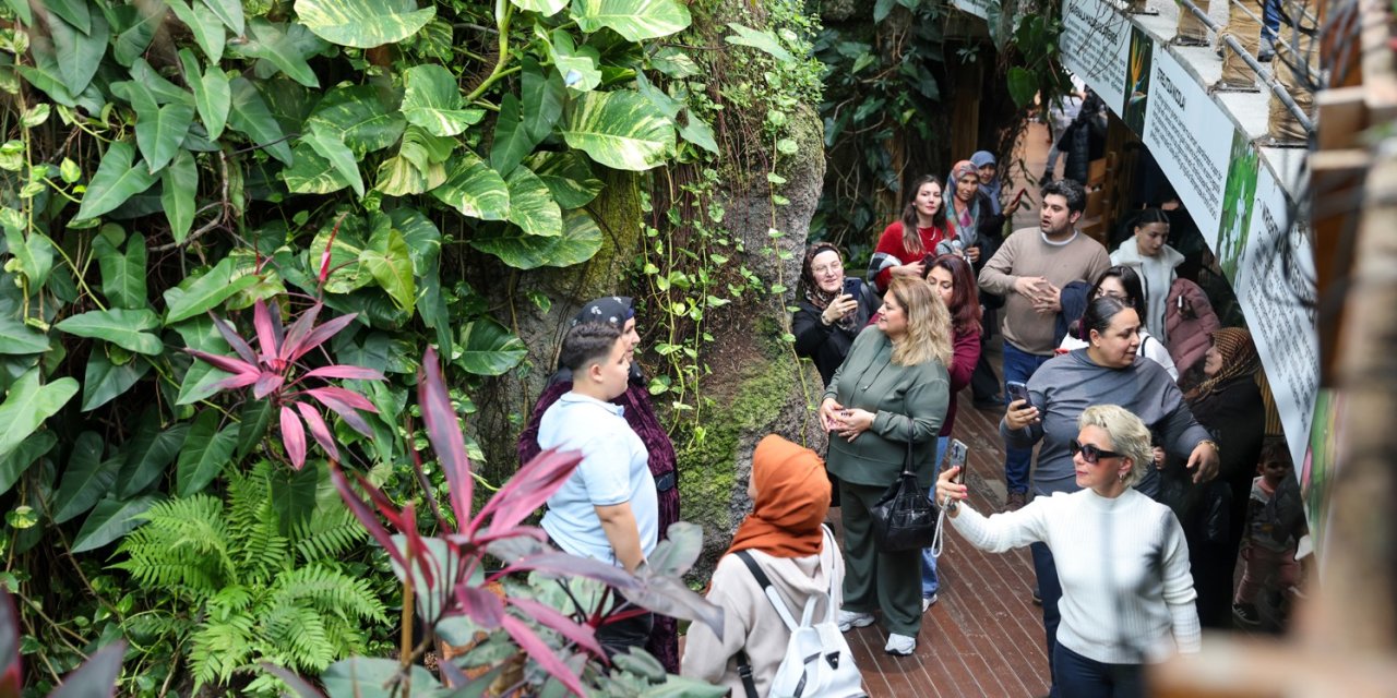 Selçuklu'da Şeb-i Arus yoğunluğu