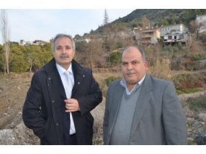 Kozan’a Sofralık Zeytin Tesisi Kurulacak