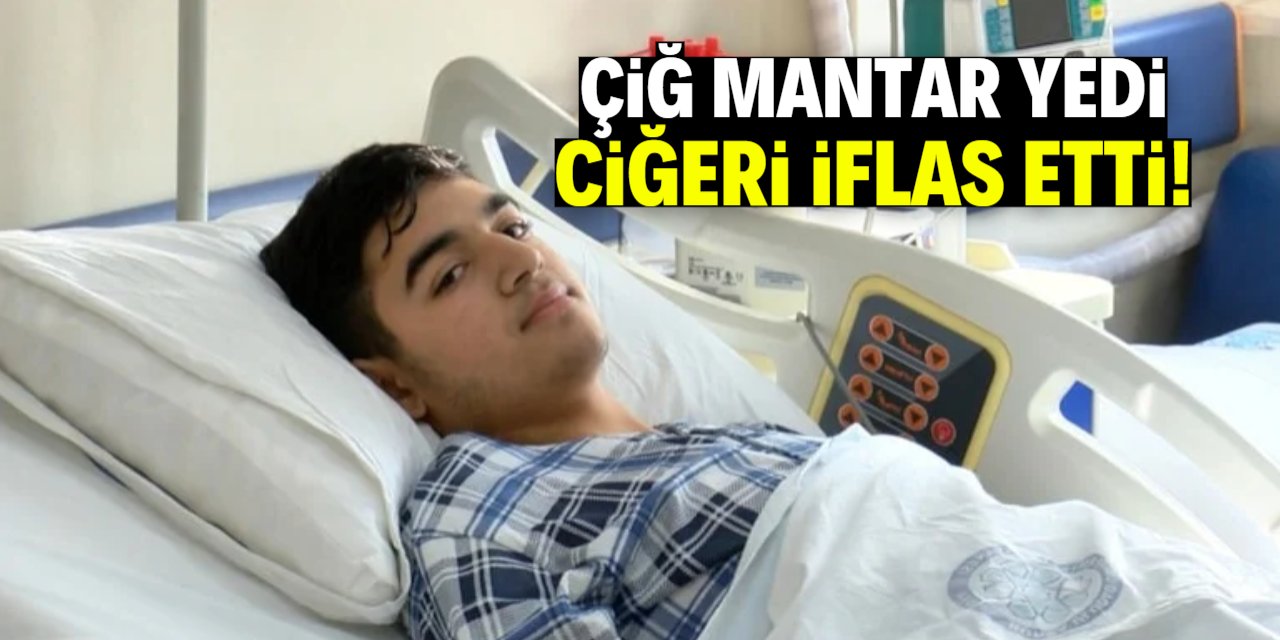 Çiğ mantar yedi, ciğeri iflas etti!
