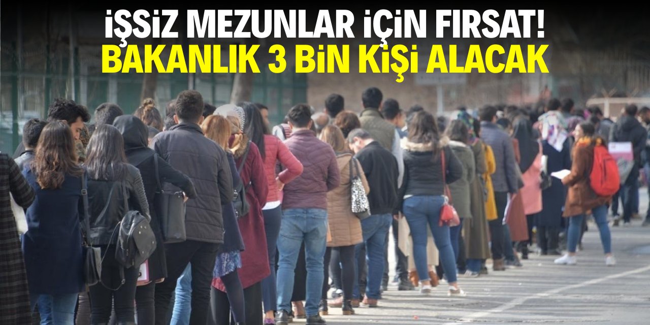 İşsiz mezunlar için fırsat! Bakanlığa 3 bin çalışan alınacak