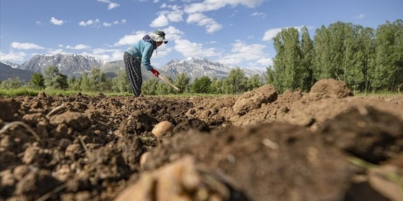 IPARD kapsamında hibe desteği verilecek