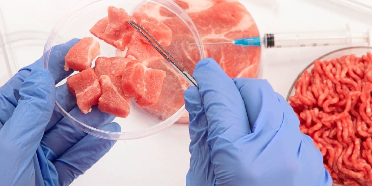 KOSAM'dan 'yapay et' dosyası