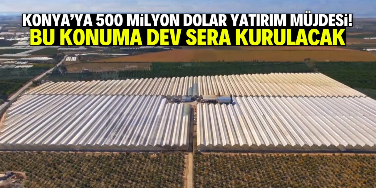 Konya domates üretiminde lider olacak! Bu bölgeye 500 milyon dolarlık sera yapılacak