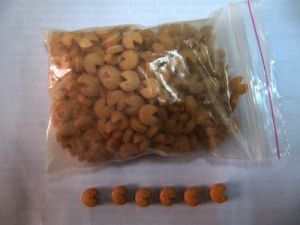 Yolcu Otobüsünde Uyuşturucu Hap Ele Geçirildi