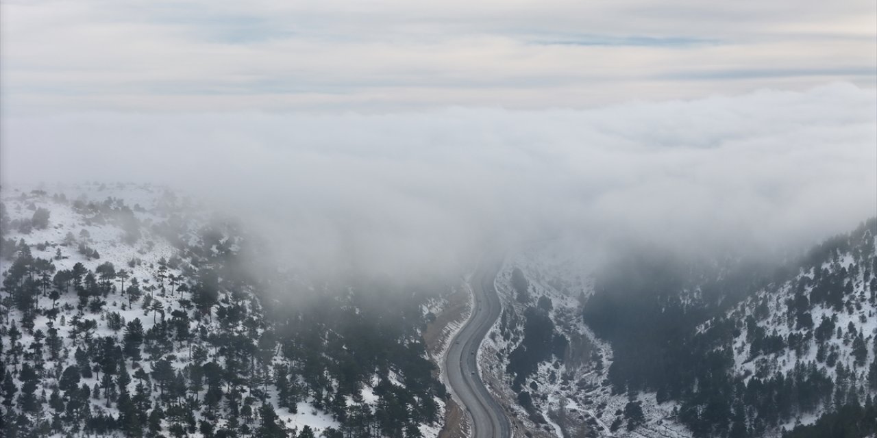 Konya ve Karaman'da sis etkili oldu