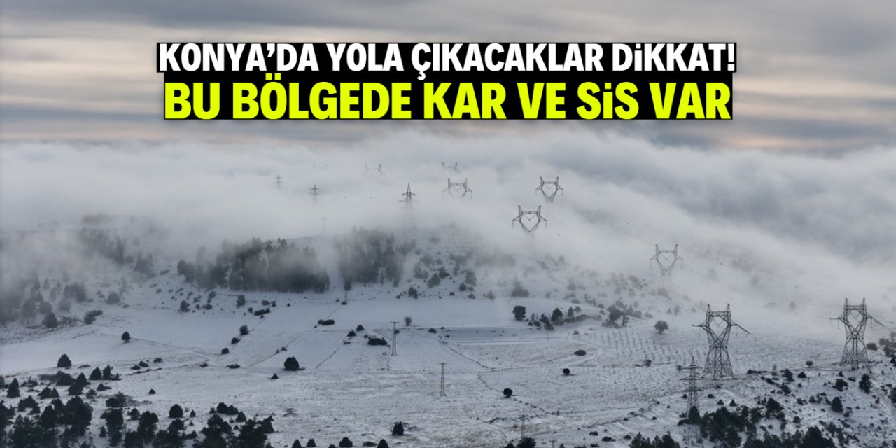 Konya'da yola çıkacaklar dikkat! Bu bölgede kar ve sis var