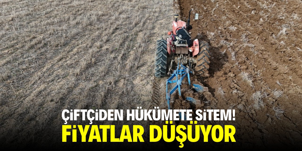 Çiftçiden hükümete sitem! Fiyatlar düşüyor