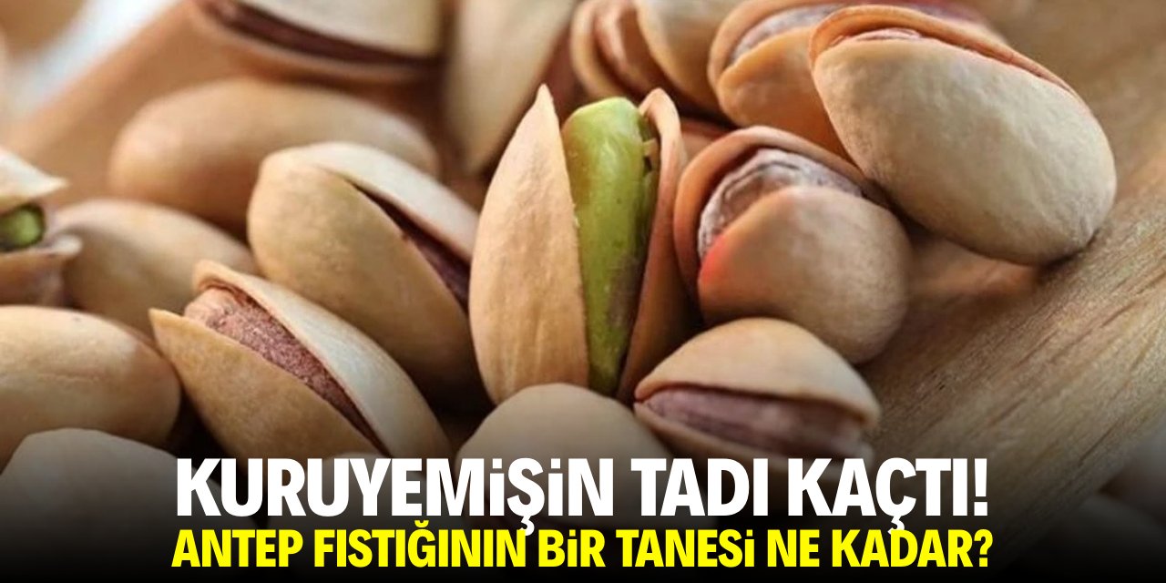 Kuruyemişin fiyatı uçtu! Antep fıstığının bir tanesi ne kadar?