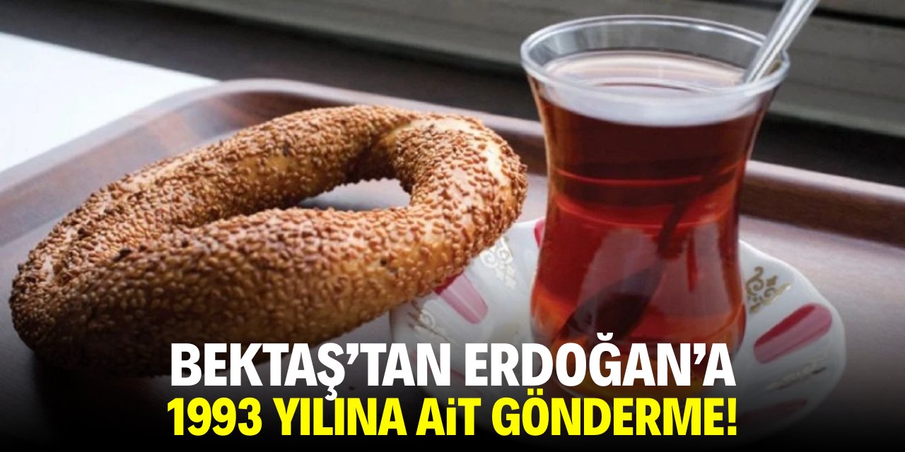 Bektaş'tan Erdoğan'a 1993 yılına ait gönderme!