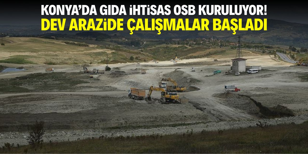 Konya'ya Gıda İhtisas Organize Sanayi kuruluyor! Dev arazide çalışmalar başladı