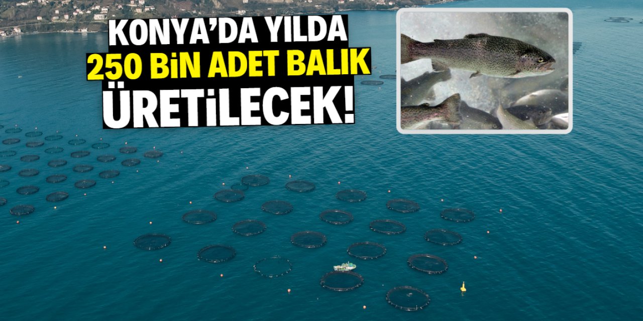Konya'da yılda 250 bin tane balık üretilecek! Konum belli oldu