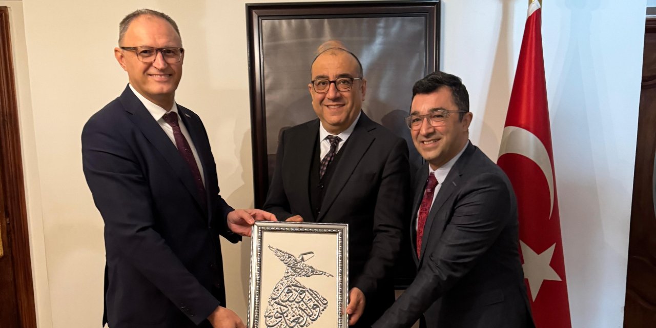 VİAD'dan Mısır’da önemli temaslar