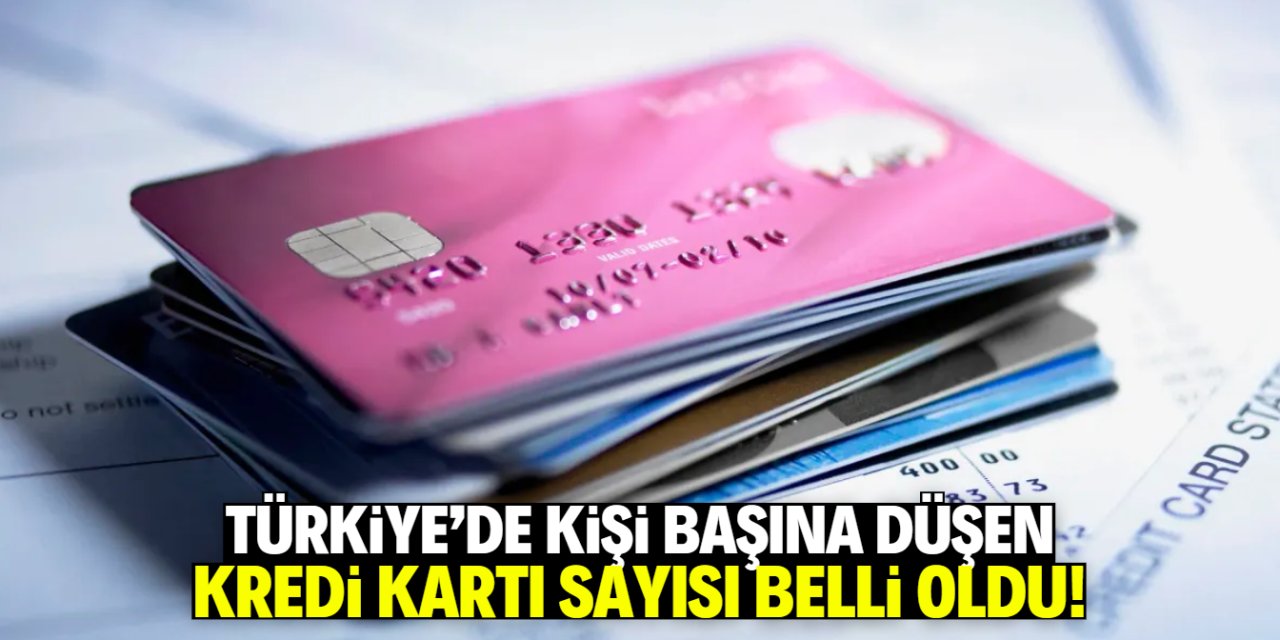 Türkiye'de kişi başına düşen kredi kartı sayısı belli oldu