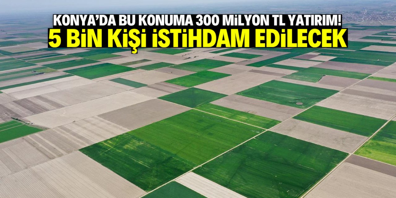 Konya Ovası'na 300 milyon liralık yatırım! 5 bin kişi istihdam edilecek