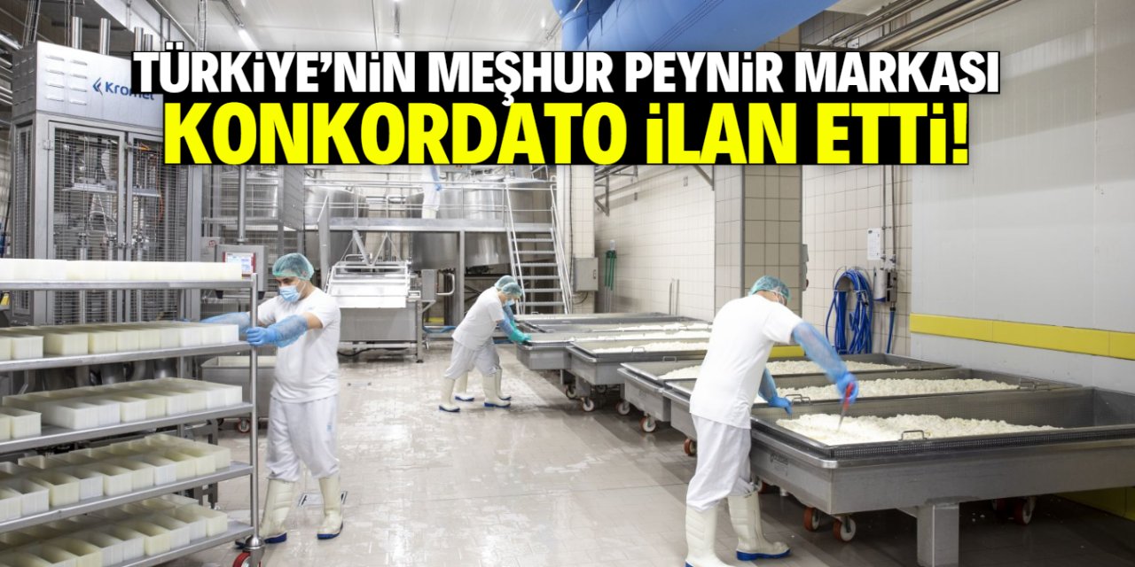 Türkiye'nin en meşhur peynir markalarından birisiydi! Konkordato ilan etti
