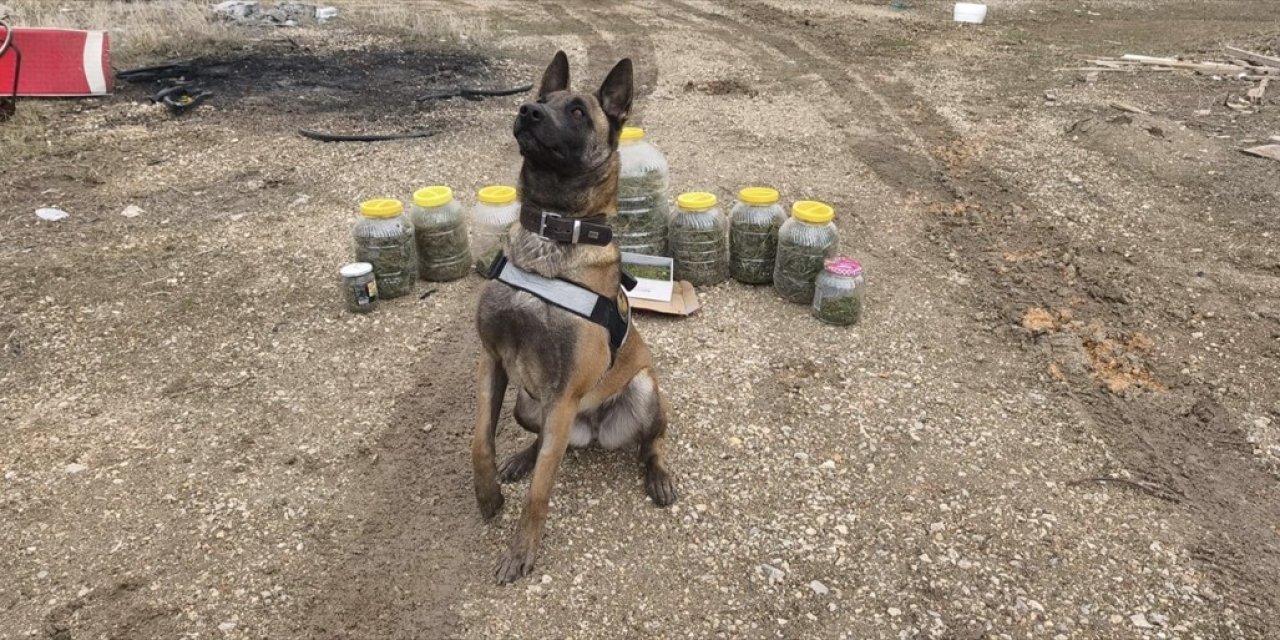 Uyuşturucu operasyonunda 1 şüpheli yakalandı