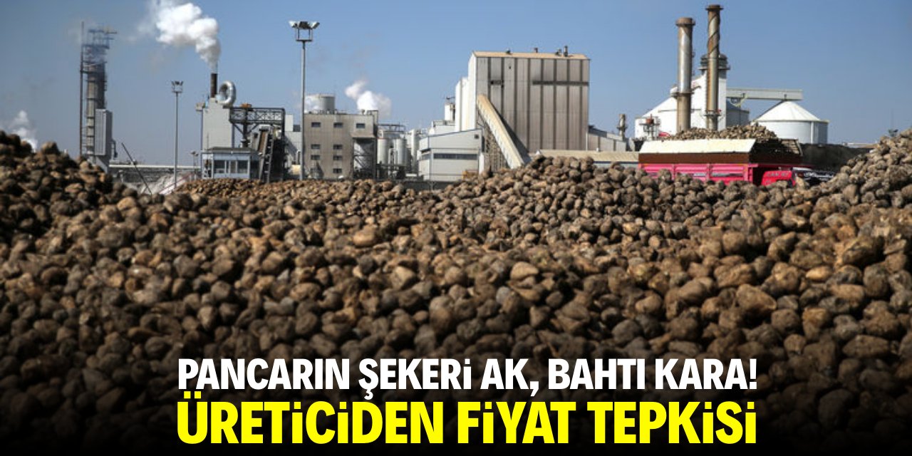 Pancarın şekeri ak, bahtı kara! Üreticiden fiyat tepkisi
