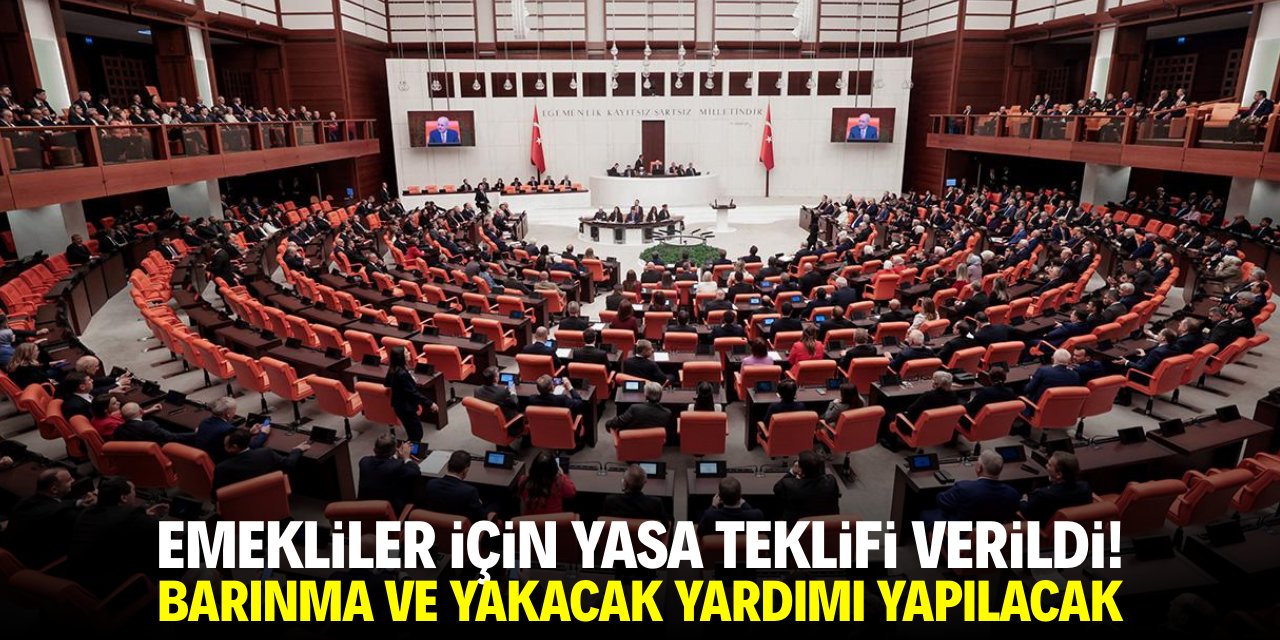 Emekliler için yasa teklifi verildi! Amaç barınma ve yakacak yardımı