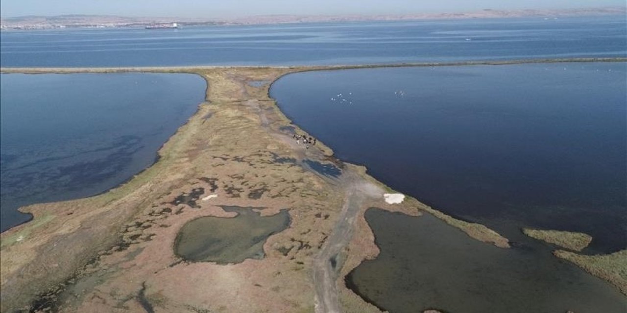 Sulak alan kaybı ekonomiyi tehdit ediyor