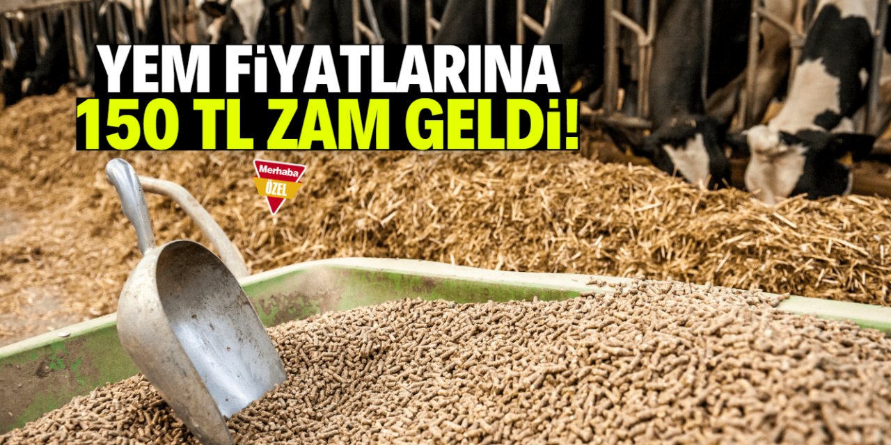 Yem fiyatlarına 150 TL zam geldi! Soya oyunu böyle ortaya çıktı