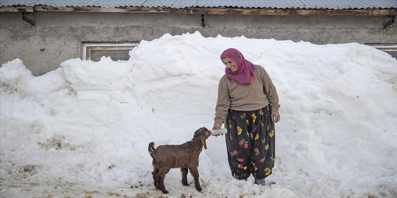 2,5 metre kar olan yerde besicilik yapıyorlar
