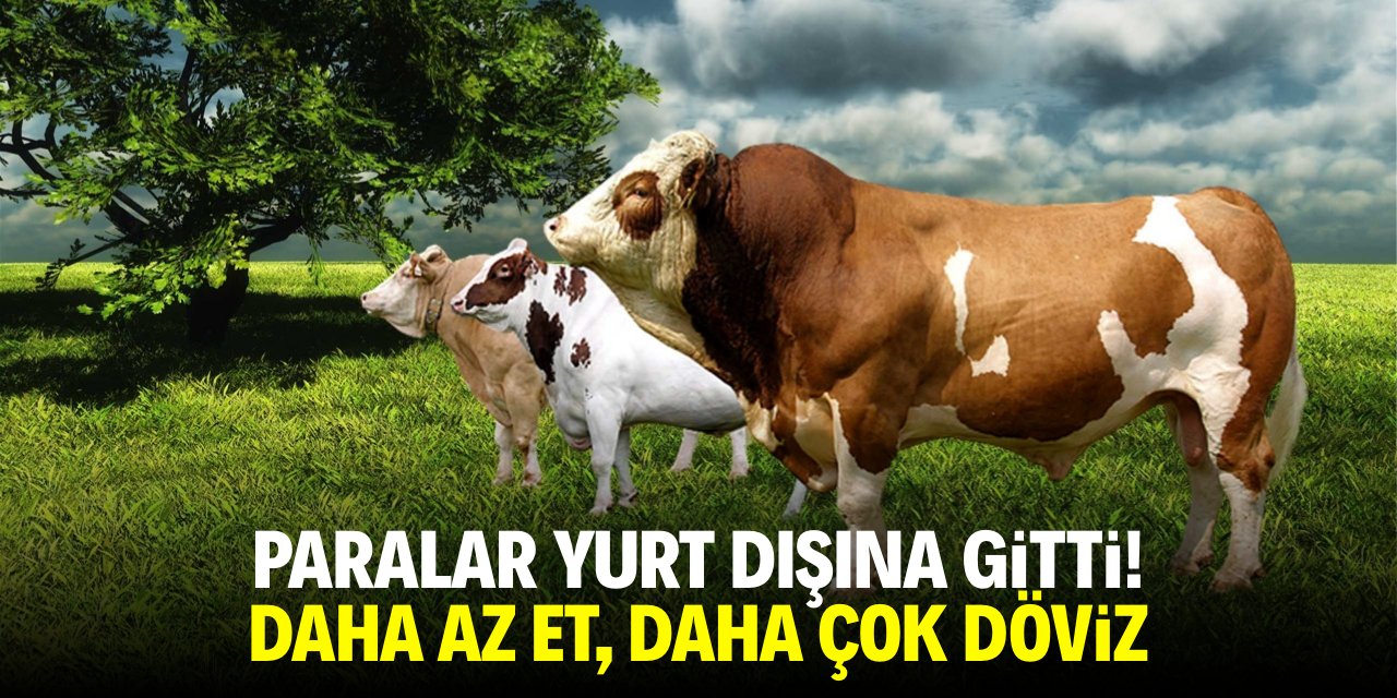 Paralar yurt dışına gitti! Daha az et, daha fazla döviz