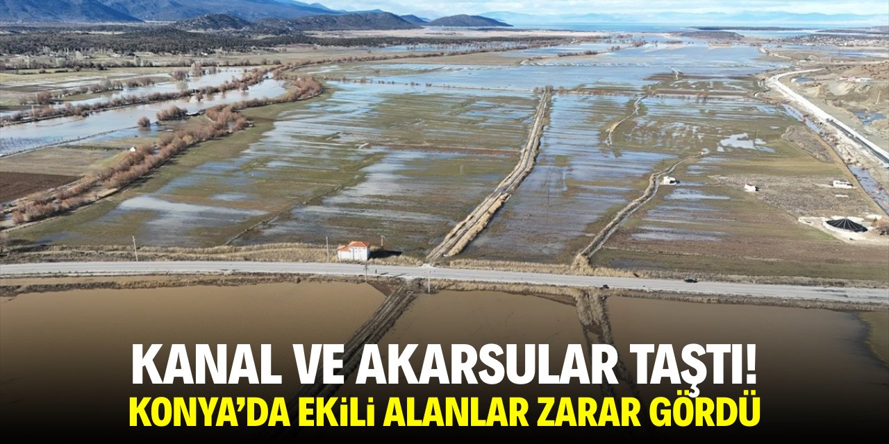 Kanal ve akarsular taştı! Konya'da ekili alanlar zarar gördü