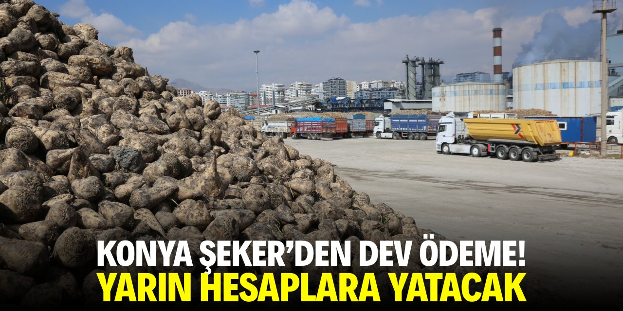 Konya Şeker'den dev ödeme! Yarın hesaplara yatıyor