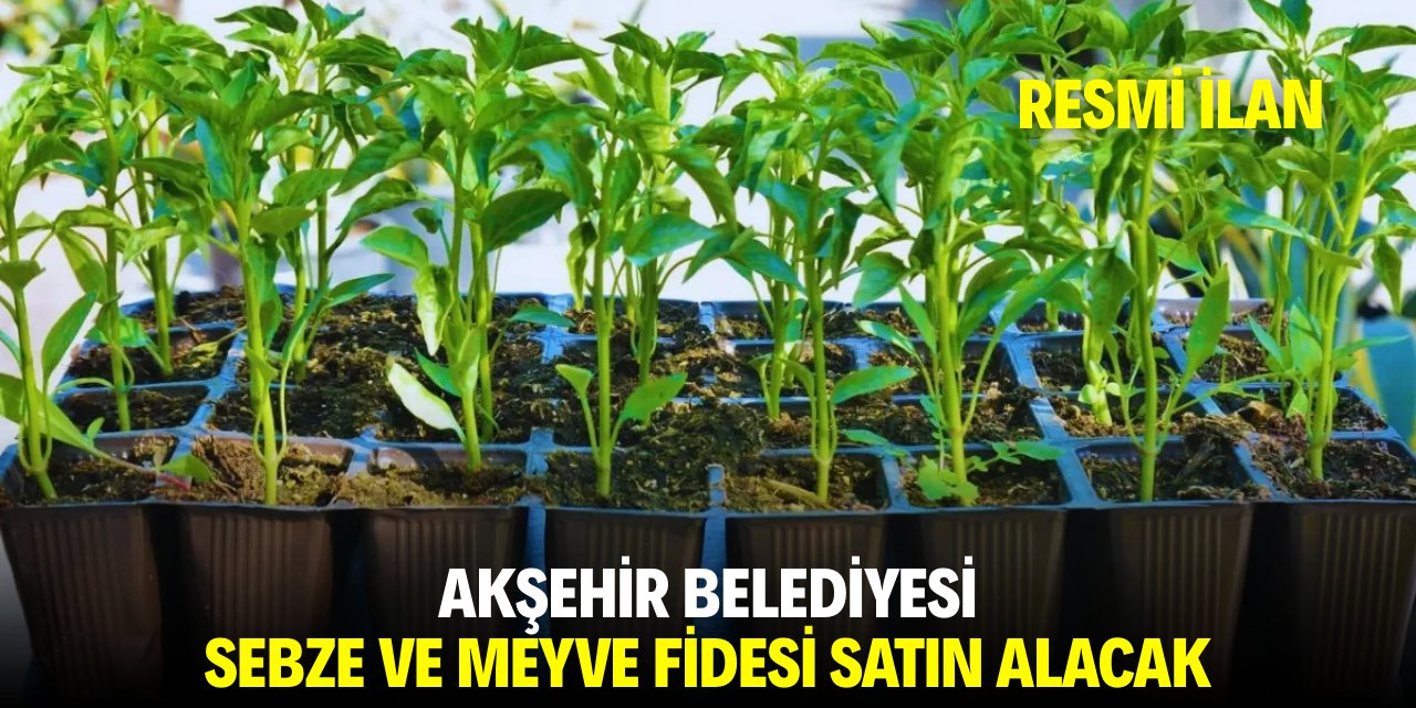 AKŞEHİR BELEDİYESİ SEBZE VE MEYVE FİDESİ SATIN ALACAK