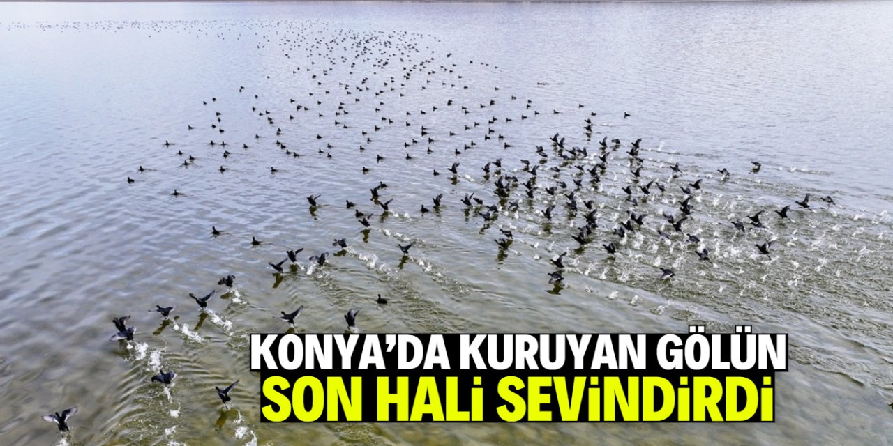 Su tutmaya başlayan Çavuşçu Gölü yeniden canlanıyor