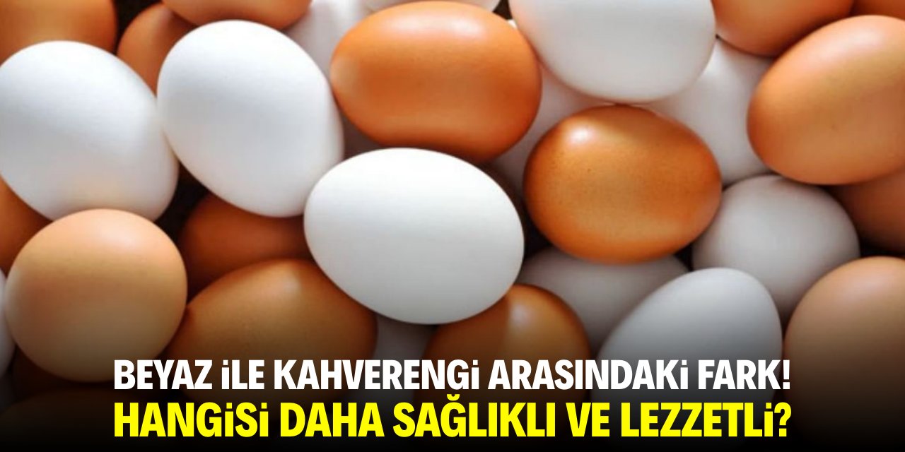 Kahverengi yumurta ile beyaz yumurta arasında fark var mı?