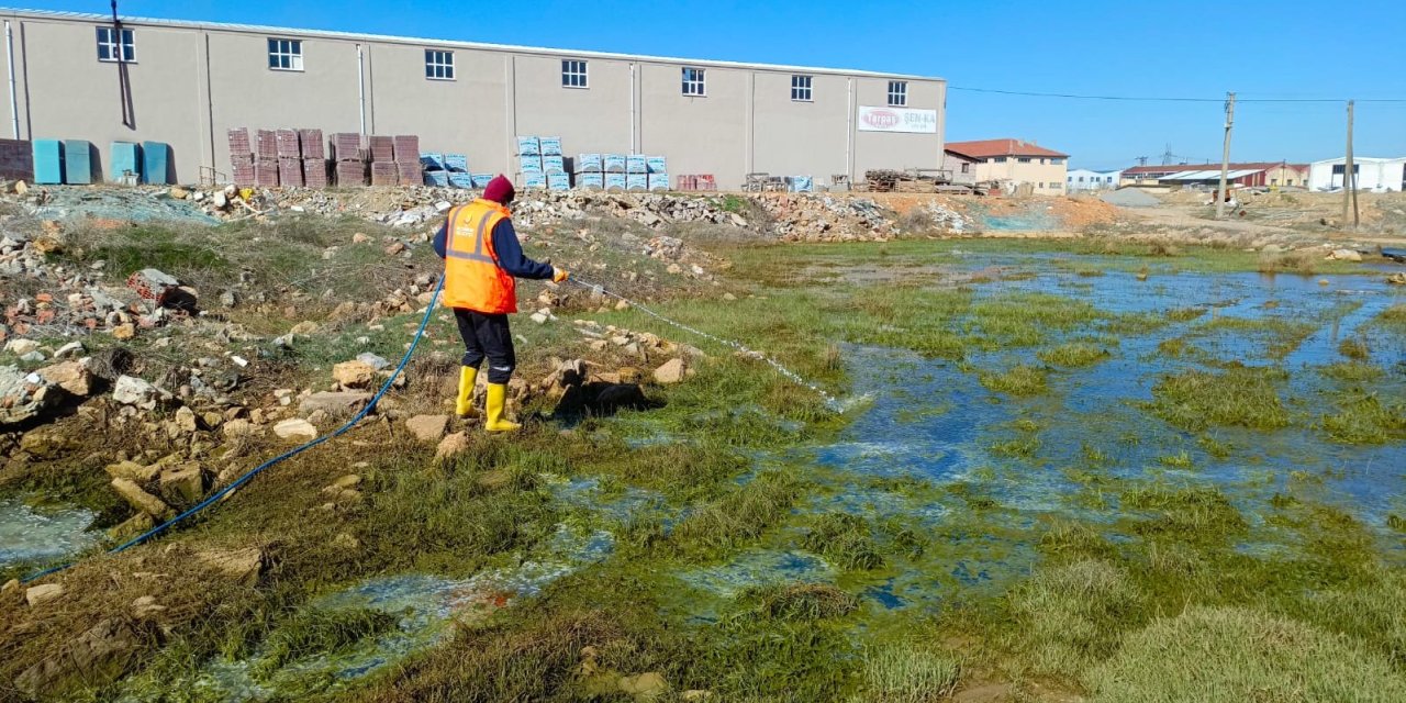 Seydişehir'de larvasit ilaçlama çalışması yapıldı