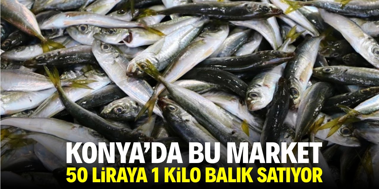Konya'da bu market 50 liraya 1 kilo balık satıyor