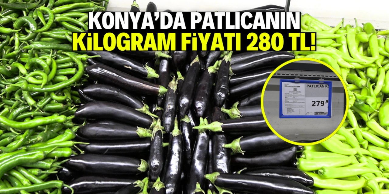 Konya'da patlıcanın kilogram fiyatı 280 TL!