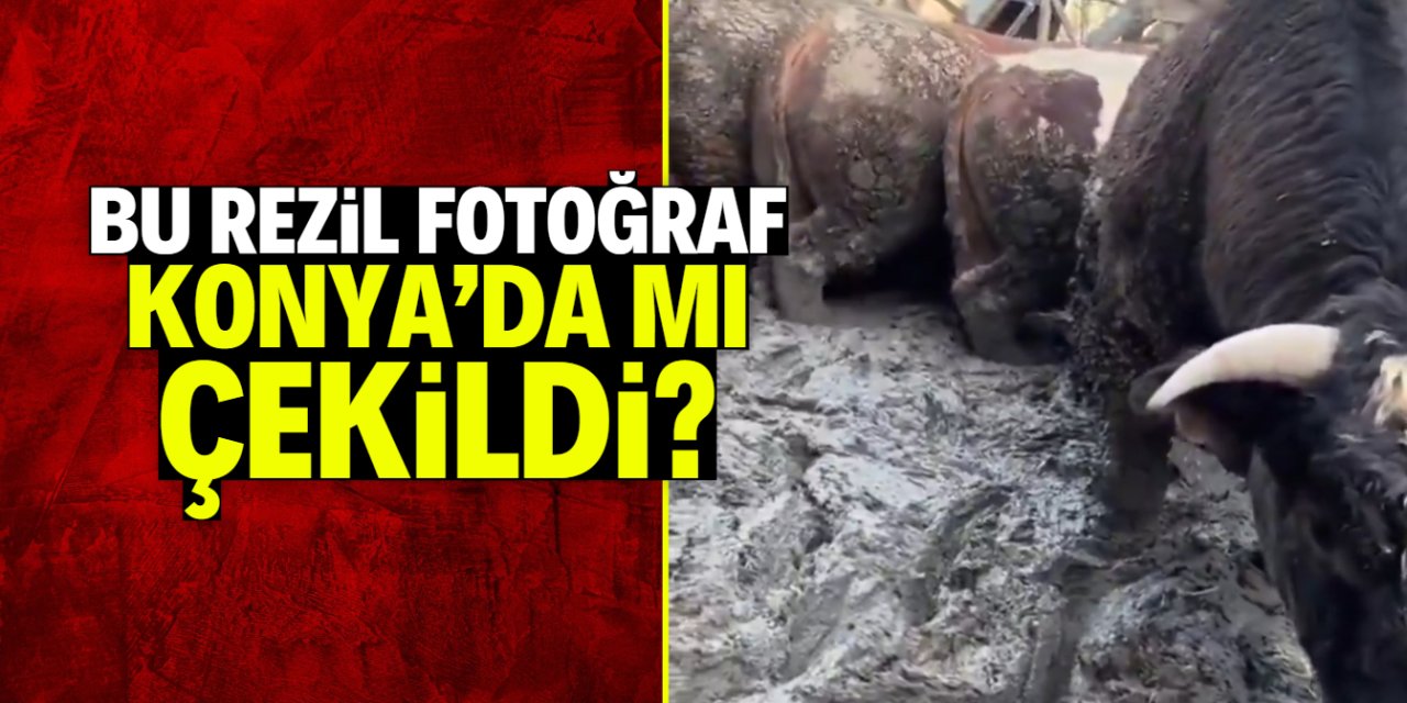 Bu rezil fotoğraf Konya'da mı çekildi? Yetkililerden açıklama bekleniyor
