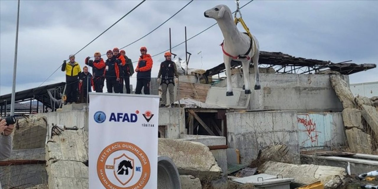 AFAD'dan afetlerde hayvanları koruyan uluslararası proje