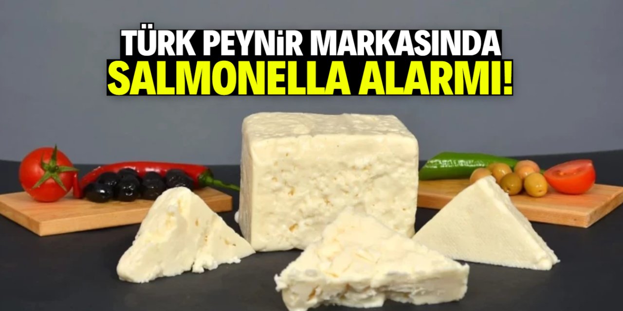 Türk peynir markasında salmonella alarmı! Marketlerden toplanıyor
