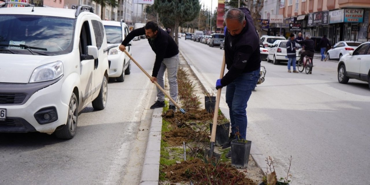 Refüjlerde tasarruf için çalışma sürüyor