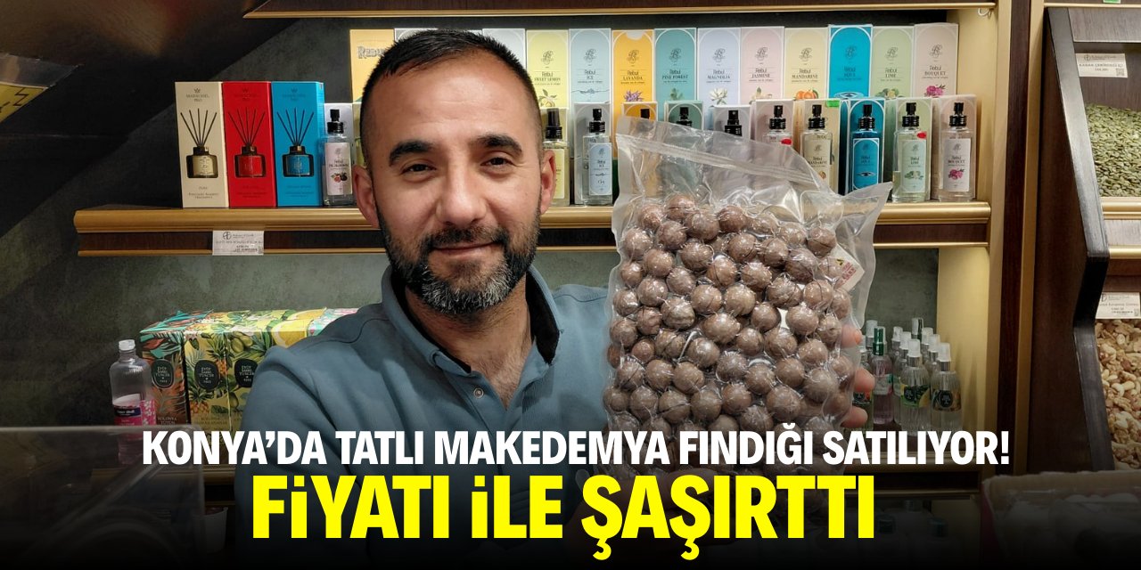 Konya’da tatlı Makedemya fındığı satılıyor! Fiyatı ile şaşırttı