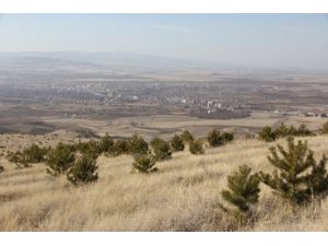 Termal Turizme Açılacak Yerköy Yeşille Bütünleşecek