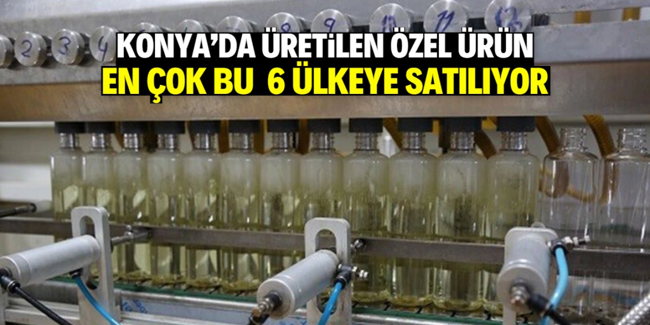 Konya'da üretiliyor, en çok bu 6 ülkeye satılıyor