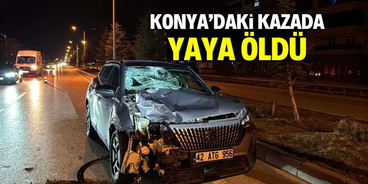 Konya'daki kazada yaya öldü
