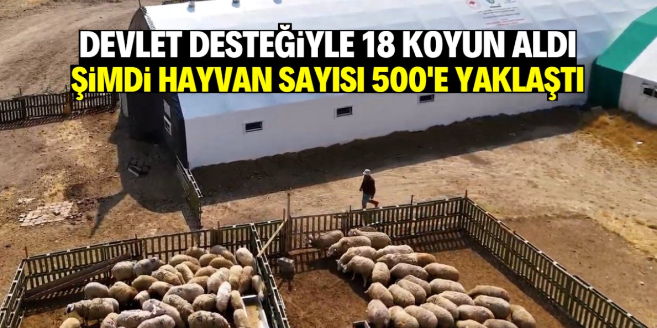 Devlet desteğiyle ahır kurdu şimdi paraya para demiyor!